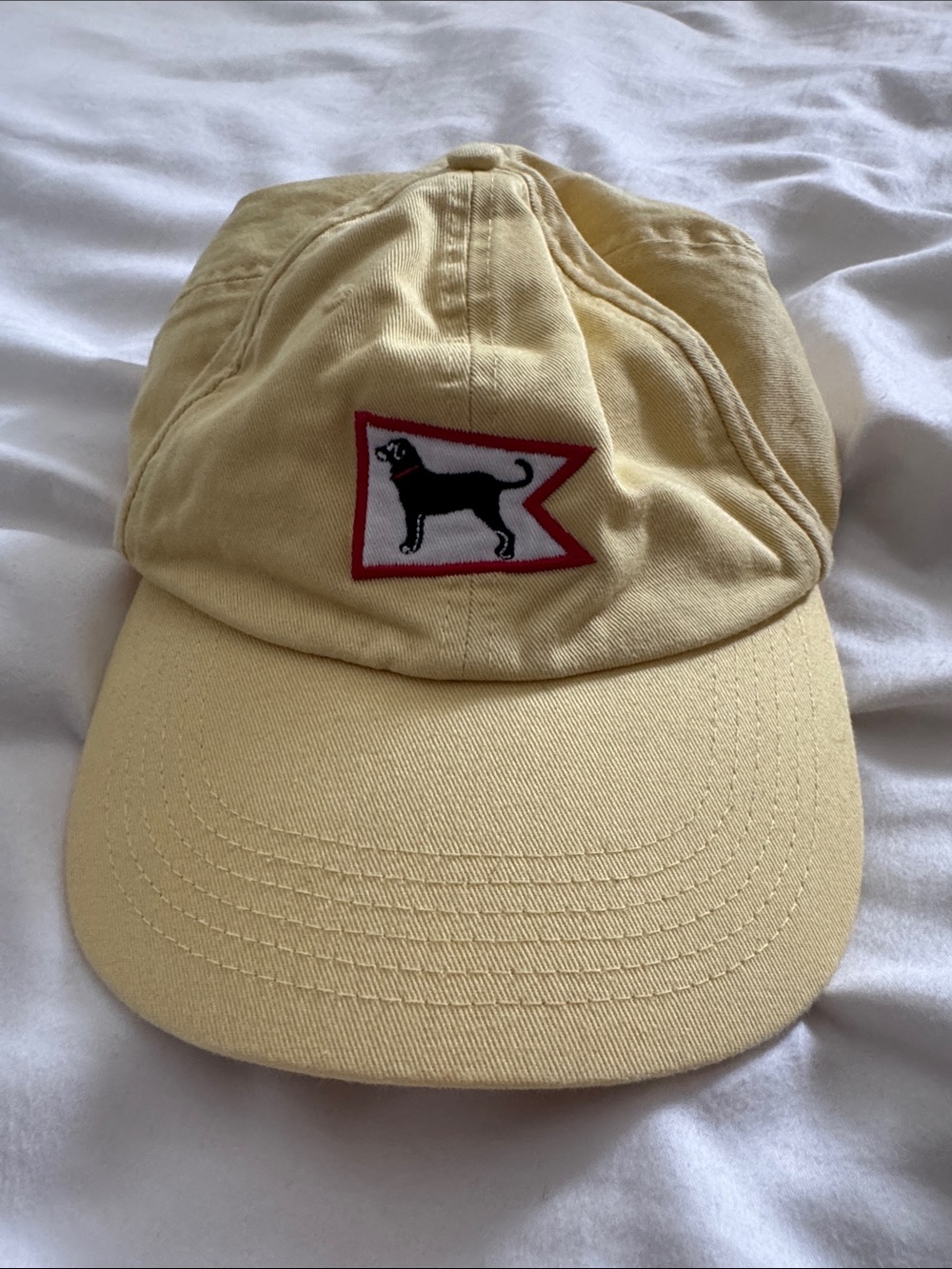 The Black dog hat